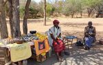 Fintech solutions for women - Exploring - Africa Portal