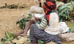 Fintech solutions for women - Exploring - Africa Portal