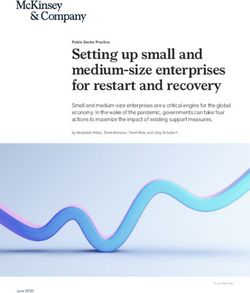 SETTING UP SMALL AND MEDIUM-SIZE ENTERPRISES FOR RESTART AND RECOVERY - MCKINSEY