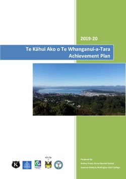 Te Kāhui Ako o Te Whanganui-a-Tara Achievement Plan 2019-20 - Education.govt.nz