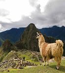AMERICAS 2021 - 2022 - Insight Vacations