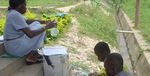 RAPID ASSESSMENT OF DRINKING-WATER QUALITY IN THE FEDERAL REPUBLIC OF NIGERIA - COUNTRY REPORT