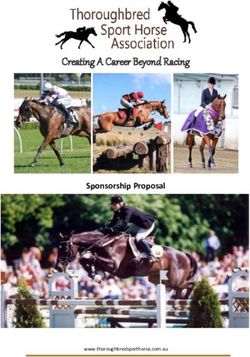 Creating A Career Beyond Racing - Sponsorship Proposal - www.thoroughbredsporthorse.com.au - Thoroughbred Sport Horse Association