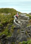 NEW ZEALAND 2021-2022 GUIDED HOLIDAYS - 3-17 day Fully Curated Experiences From page 24 - AAT Kings