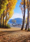 NEW ZEALAND 2021-2022 GUIDED HOLIDAYS - 3-17 day Fully Curated Experiences From page 24 - AAT Kings