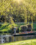 NEW ZEALAND 2021-2022 GUIDED HOLIDAYS - 3-17 day Fully Curated Experiences From page 24 - AAT Kings
