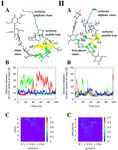 Fluconazole and Lipopeptide Surfactin Interplay During Candida albicans Plasma Membrane and Cell Wall Remodeling Increases Fungal Immune System ...