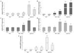 Fluconazole and Lipopeptide Surfactin Interplay During Candida albicans Plasma Membrane and Cell Wall Remodeling Increases Fungal Immune System ...
