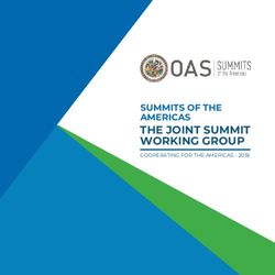 THE JOINT SUMMIT WORKING GROUP - SUMMITS OF THE AMERICAS COOPERATING FOR THE AMERICAS 2018