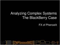 Analyzing Complex Systems The BlackBerry Case - FX of Phenoelit
