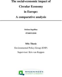 The social-economic impact of Circular Economy in Europe: A comparative analysis - MSc Thesis