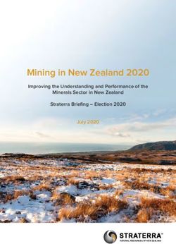 Mining in New Zealand 2020 - Improving the Understanding and Performance of the Minerals Sector in New Zealand Straterra Briefing - Election 2020 ...
