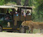 ABOUT THE TOUR 3 DAY BUDGET KRUGER STUDENT SAFARI