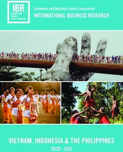 VIETNAM, INDONESIA & THE PHILIPPINES - INTERNATIONAL BUSINESS RESEARCH Economics and Business Faculty association - IBR Groningen