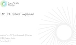 TAP HSE Culture Programme - Jose de la Torre, TAP Senior Corporate QHSE Manager IPLOCA Regional Meeting Parma, May 2019