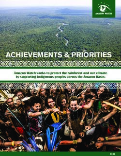 ACHIEVEMENTS & PRIORITIES - Amazon Watch works to protect the rainforest and our climate by supporting indigenous peoples across the Amazon Basin.