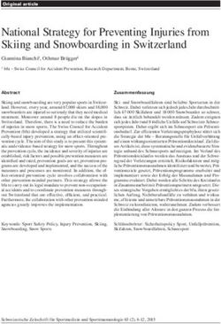 National Strategy for Preventing Injuries from Skiing and Snowboarding in Switzerland