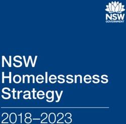 NSW Homelessness Strategy 2018-2023 - Analysis and Policy ...