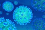 Getting close to a solution for the Coronavirus - Project Proposal Helping MIGAL's Coronavirus Vaccine Development - Keren ...