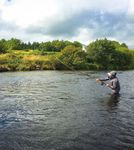 SALMON ANGLING IN IRELAND - Fishing in Ireland