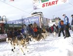 EVENT SPECIAL - Alaska Iditarod Race - Mayflower Tours
