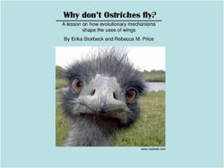 Why don't Ostriches fly? - A lesson on how evolutionary mechanisms shape the uses of wings By Erika Storbeck and Rebecca M. Price