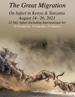 The Great Migration On Safari in Kenya & Tanzania August 14- 26, 2021 - 12 Day Safari Including International Air - Direct Travel