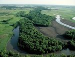 Conservation Reserve Program - USDA is an equal opportunity provider, employer, and lender.