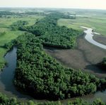 Conservation Reserve Program - USDA is an equal opportunity provider, employer, and lender.