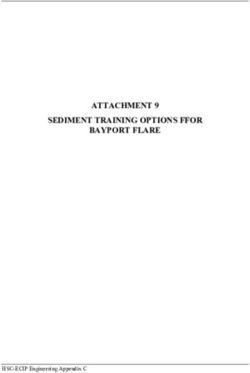 SEDIMENT TRAINING OPTIONS FFOR BAYPORT FLARE - HSC-ECIP Engineering Appendix C