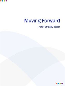 Moving Forward Transit Strategy Report