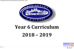 Year 6 Curriculum 2018 2019 - Long Sutton primary School