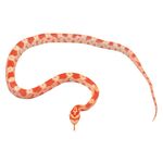Corn Snake GUIDE TO - Monkfield Nutrition