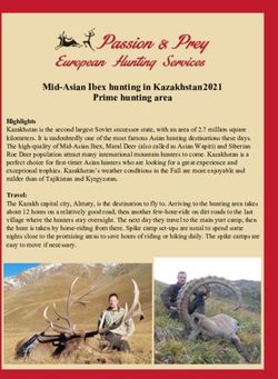 Mid-Asian Ibex hunting in Kazakhstan 2021 Prime hunting area