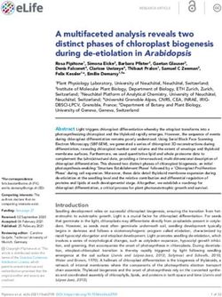 A multifaceted analysis reveals two distinct phases of chloroplast biogenesis during de-etiolation in Arabidopsis - eLife