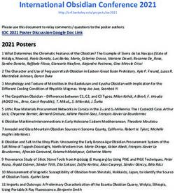 International Obsidian Conference 2021 - Archaeological ...