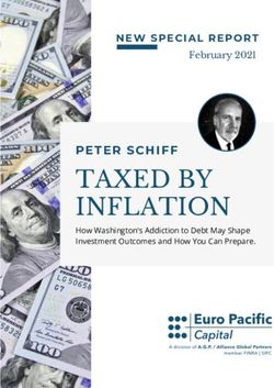 TAXED BY INFLATION PETER SCHIFF - NEW SPECIAL REPORT - Euro Pacific Asset Management