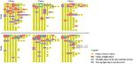 Performance of Azure winged magpies in Aesop's fable paradigm - Nature