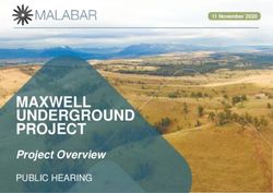 MAXWELL UNDERGROUND PROJECT THE MAXWELL PROJECT - Malabar ...