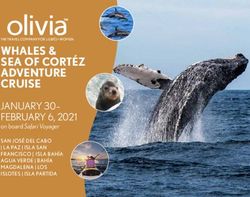 WHALES & SEA OF CORTÉZ ADVENTURE CRUISE - JANUARY 30- FEBRUARY 6, 2021 on board Safari Voyager - HubSpot