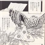 Japanese Language and Literature