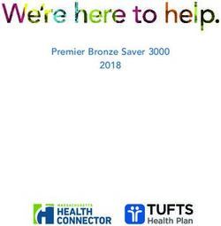 Premier Bronze Saver 3000 2018 - Tufts Health Plan