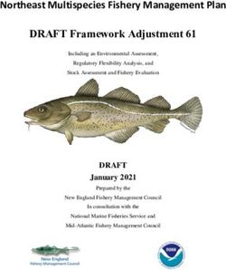 Northeast Multispecies Fishery Management Plan