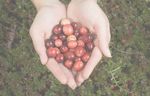 Media Kit 2022 - Wisconsin State Cranberry Growers Association