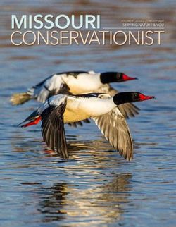 MISSOURI CONSERVATIONIST - SERVING NATURE & YOU - MO.gov