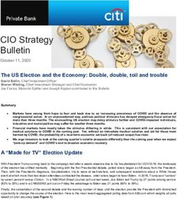 CIO Strategy Bulletin - The US Election and the Economy: Double, double, toil and trouble October 11, 2020 - Citi Private Bank