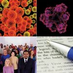 The MCAT Essentials for Testing Year 2019 - Fastly