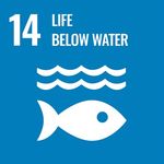 Understanding the State of the Ocean: A Global Manual on Measuring SDG 14.1.1, SDG 14.2.1 and SDG 14.5.1 - UNEP Document ...