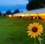 SUMMER 2021 A QUARTERLY MAGAZINE FOR - MEMBERS OF DENVER BOTANIC GARDENS