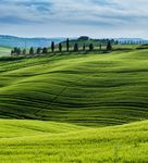 SHORT-TERM OUTLOOK for EU agricultural markets in 2021 - SPRING 2021